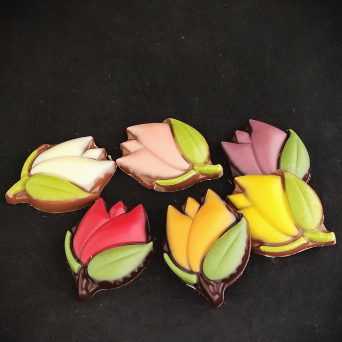 Tulpen van chocolade